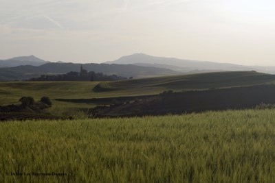 Camino de Santiago Landscape