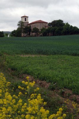 Camino de Santiago Landscape