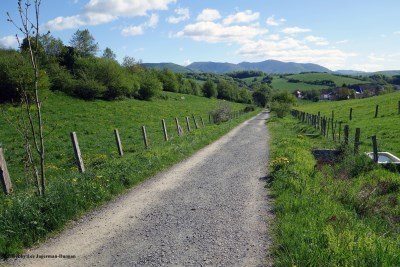 Camino de Santiago Landscape