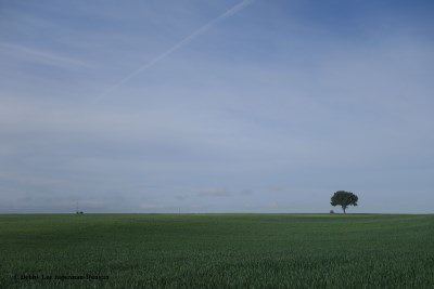 Camino de Santiago Landscape