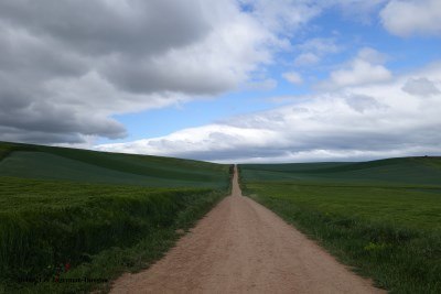 Camino de Santiago Landscape