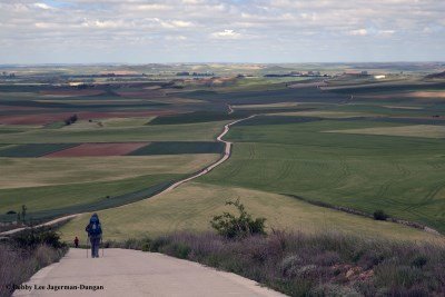 Camino de Santiago Landscape