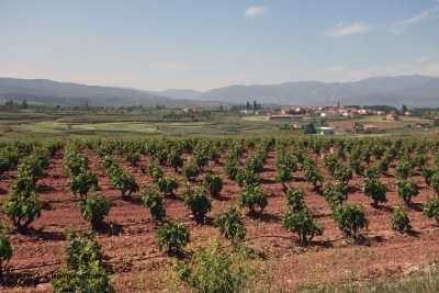 Camino de Santiago Landscape