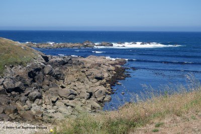 Muxia Beaches