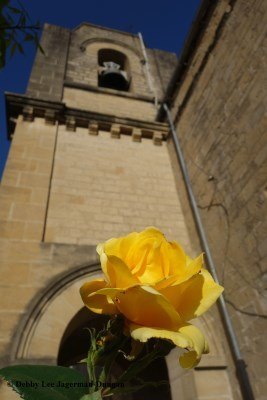 Camino de Santiago Churches with Flowers