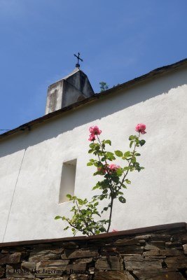 Camino de Santiago Churches with Flowers