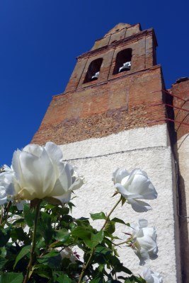 Camino de Santiago Churches with Flowers