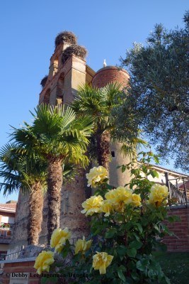 Camino de Santiago Churches with Flowers