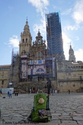 Camino de Santiago Daypack Cathedral de Santiago