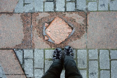 Camino de Santiago Tevas Scallop Shell