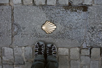 Camino de Santiago Tevas Scallop Shell