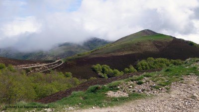 Camino de Santiago Tips Pyrenees