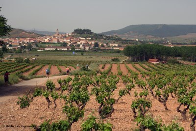 Camino de Santiago Tips Pictures