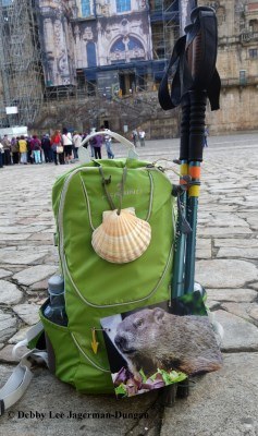 Camino de Santiago Punxsutawney Phil 