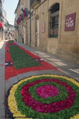 Corpus Christi Festival Floral Carpets