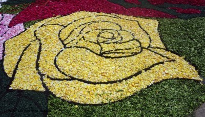Camino de Santiago Sarria Corpus Christi Festival Floral Carpets