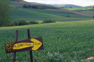 Camino de Santiago Directional Symbols