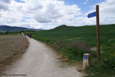 Camino de Santiago Directional Symbols