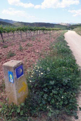 Camino de Santiago Directional Symbols