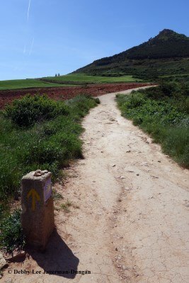 Camino de Santiago Directional Symbols