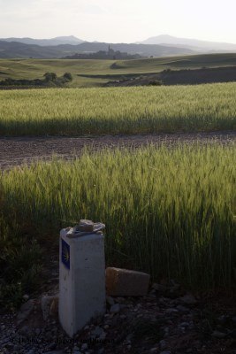 Camino de Santiago Directional Symbols