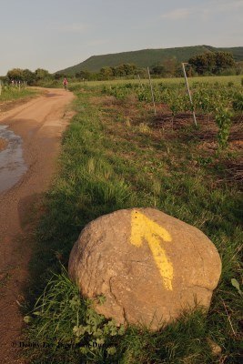 Camino de Santiago Directional Symbols