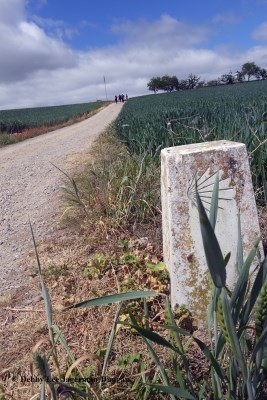 Camino de Santiago Directional Symbols