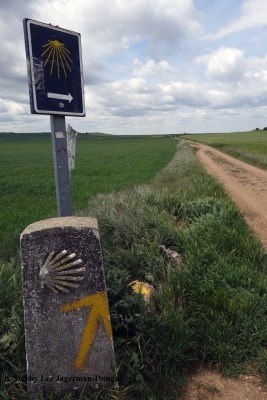 Camino de Santiago Directional Symbols