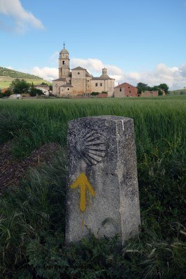 Camino de Santiago Directional Symbols