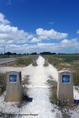 Camino de Santiago Directional Symbols