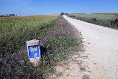 Camino de Santiago Directional Symbols