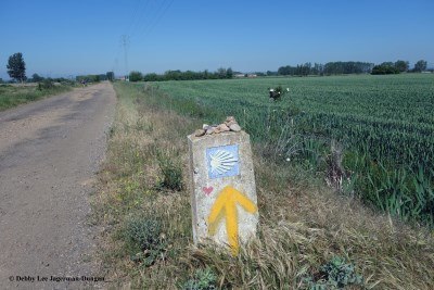 Camino de Santiago Directional Symbols