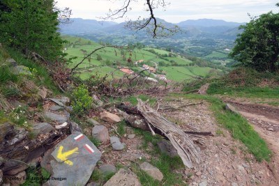 Camino de Santiago Directional Symbols