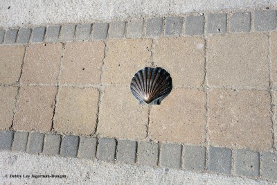 Camino de Santiago Scallop Shells Yellow Arrows