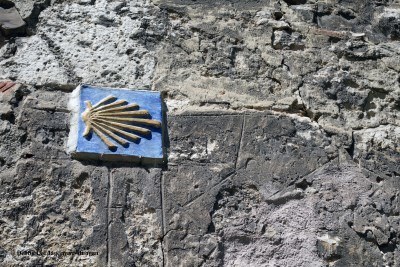 Camino de Santiago Scallop Shells Yellow Arrows