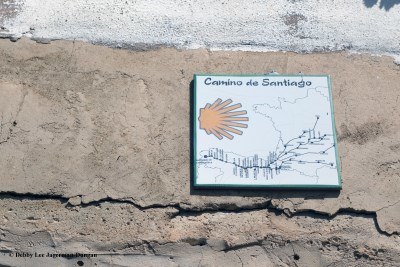 Camino de Santiago Scallop Shells Yellow Arrows