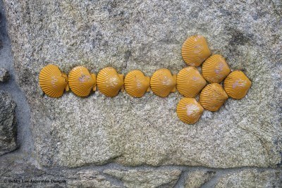 Camino de Santiago Scallop Shells Yellow Arrows