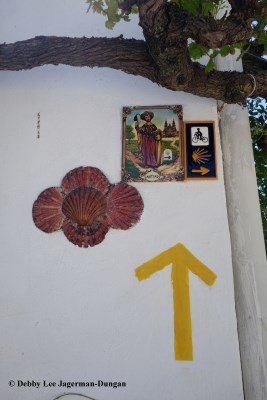 Camino de Santiago Scallop Shells Yellow Arrows