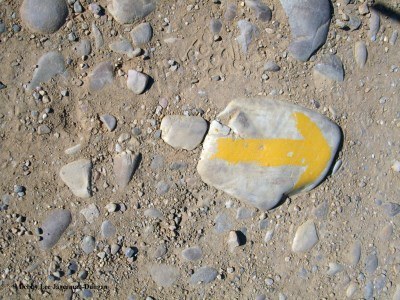 Camino de Santiago Scallop Shells Yellow Arrows