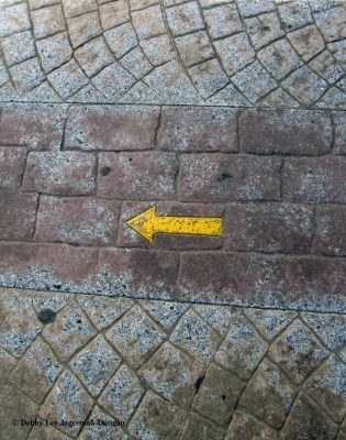 Camino de Santiago Scallop Shells Yellow Arrows