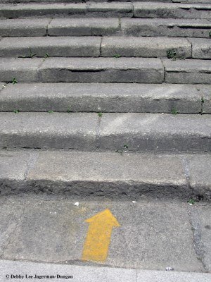 Camino de Santiago Scallop Shells Yellow Arrows