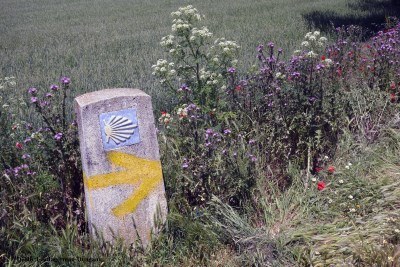 Camino de Santiago Stone Markers