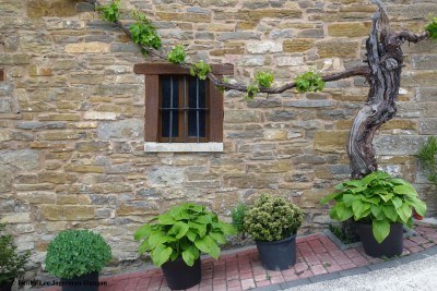 Camino de Santiago Windows and Doors