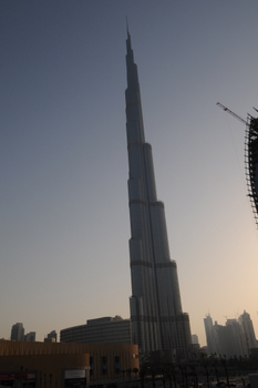UAE February 2010 330