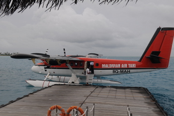 June 16, 2010 Maldives dragon boat dumplings 184