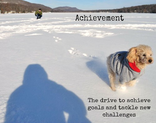 Achievement Motivation