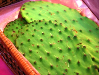 Prickly Pear Pads