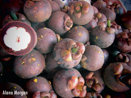 Mangosteen Fruit