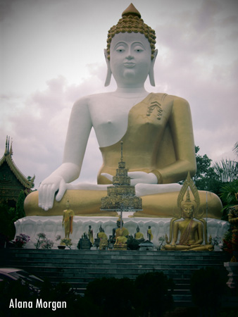 The Buddha