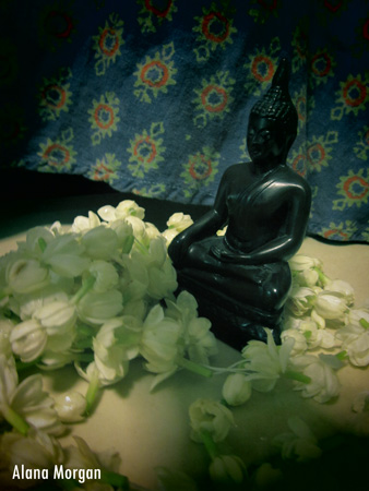 Buddha and fresh jasmine